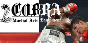 COBRA 2410 BOXING GLOVE 