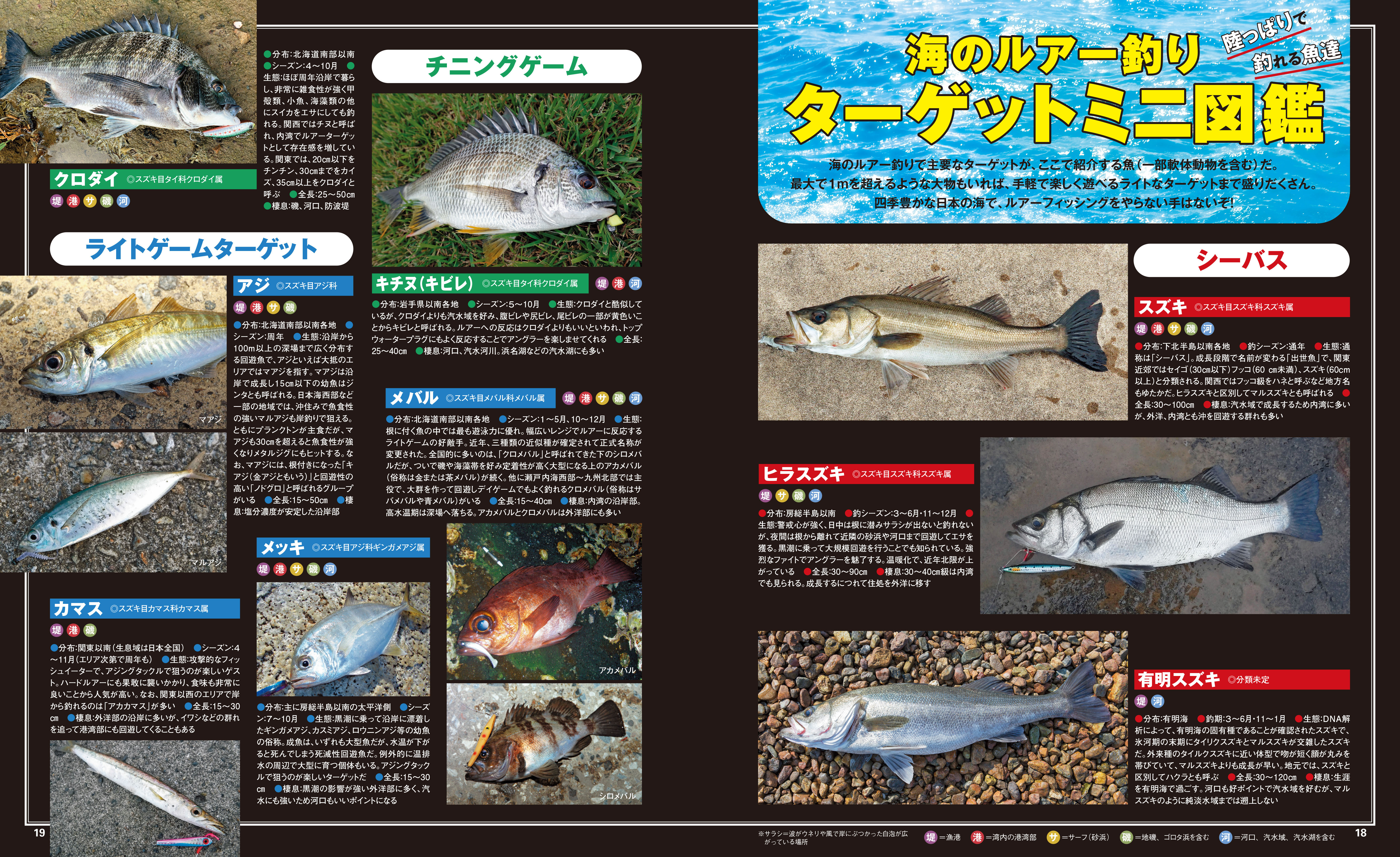 初めての釣りでも安心の海のルアー釣りの入門書。36もの人気対象魚の