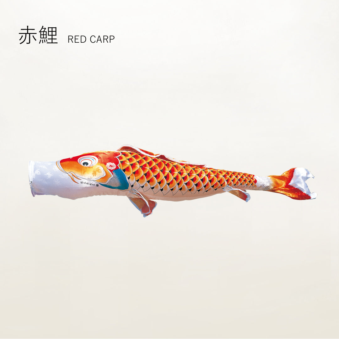 赤鯉 慶祝の鯉【吉兆】単品鯉のぼり – 晴れと暮らす