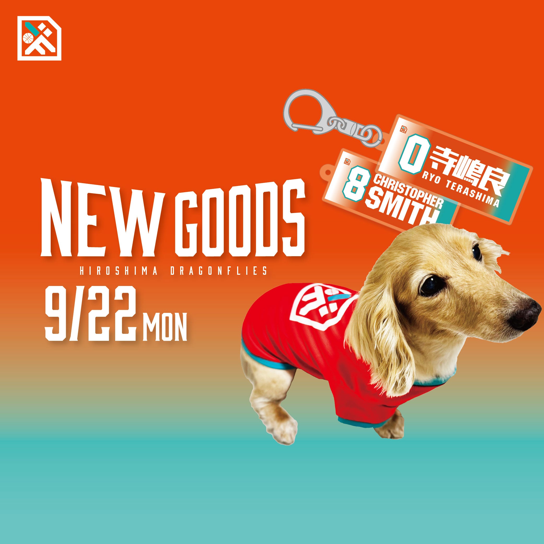 グッズ情報】9/22(月)新発売グッズ一覧 | 広島ドラゴンフライズ