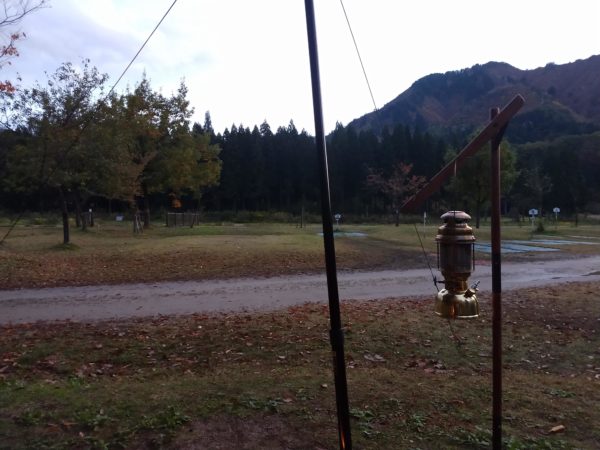 BLACK DESIGN（ブラックデザイン）シダレ桜】使用レビュー「台湾発の