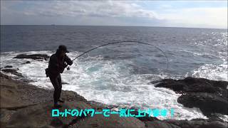 荒磯のヒラスズキ ブラックアロー126MHテスト釣行 - YouTube