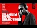 The RZA Presents Shaolin Soul Selection: Vol 1 - YouTube