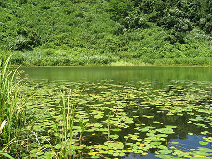 原点的雷魚ロッドは、粘りの効いたオールラウンド！ オフトOFT雷魚