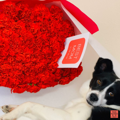 赤いカーネーション100本の花束 – ikeda-hanaten onlinestore