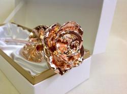 永遠に咲き続ける本物の薔薇！ピンクゴールドローズ