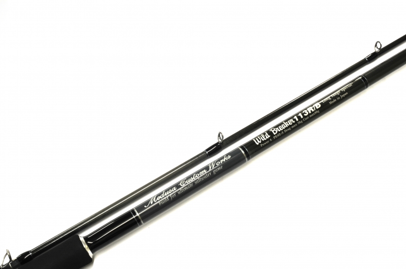 MCワークス ワイルドブレーカー 100SV custom model MCワークス