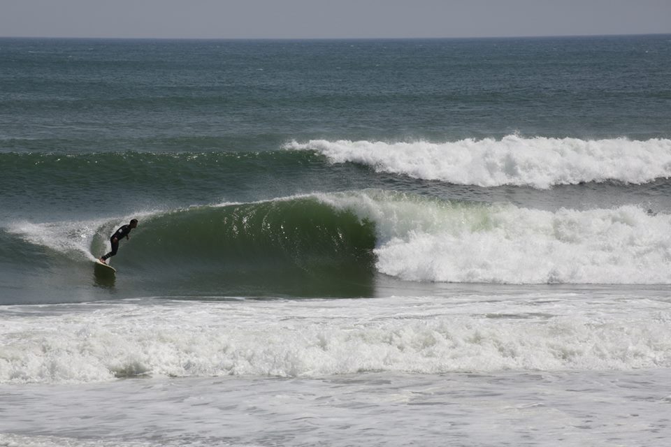 mccallum surfboard入荷！mccallumブランドとは？ | SIDECAR BLOG