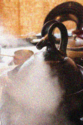 椎名勇さんの土鍋 ＆ 通販受付中 ＆ ”今ぜき”さんの恵方巻 | Daily