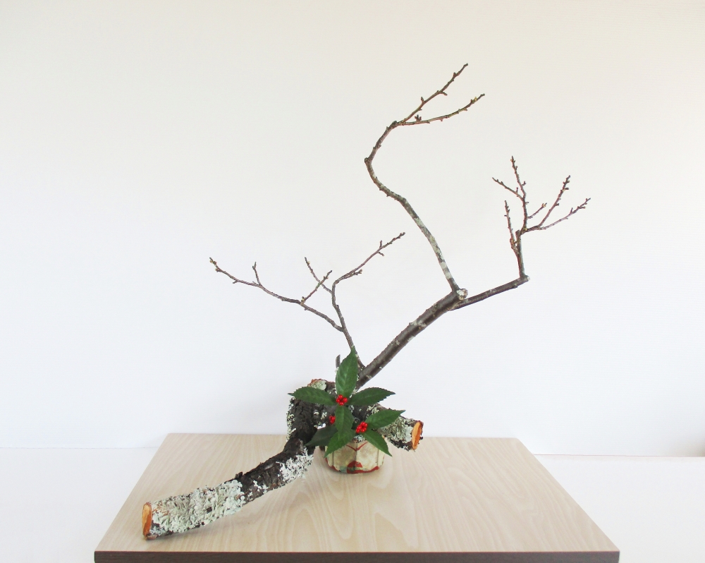 苔梅 | 士峰流 いちゆうの花