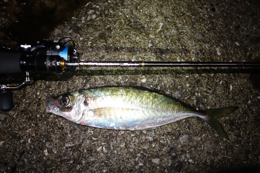 ソルティセンセーション スペリオル スカウトマスター SPRS-70L-T