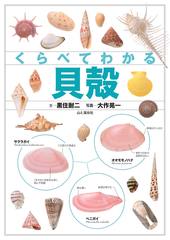くらべてわかる貝殻 | 山と溪谷社