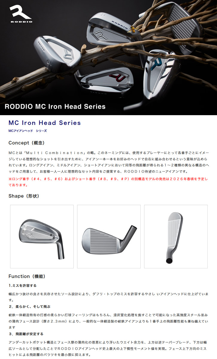 RODDIO (ロッディオ) MC アイアン 5-P (6本セット) Fire Express MS-I