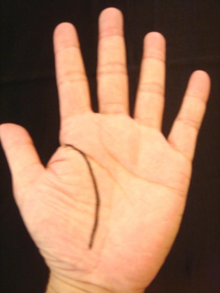 image.php?id=133644&p=shopn&s=