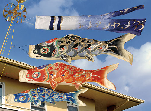 オプションいろいろ。小型サイズの鯉のぼり2.0m 在庫限りの特別価格