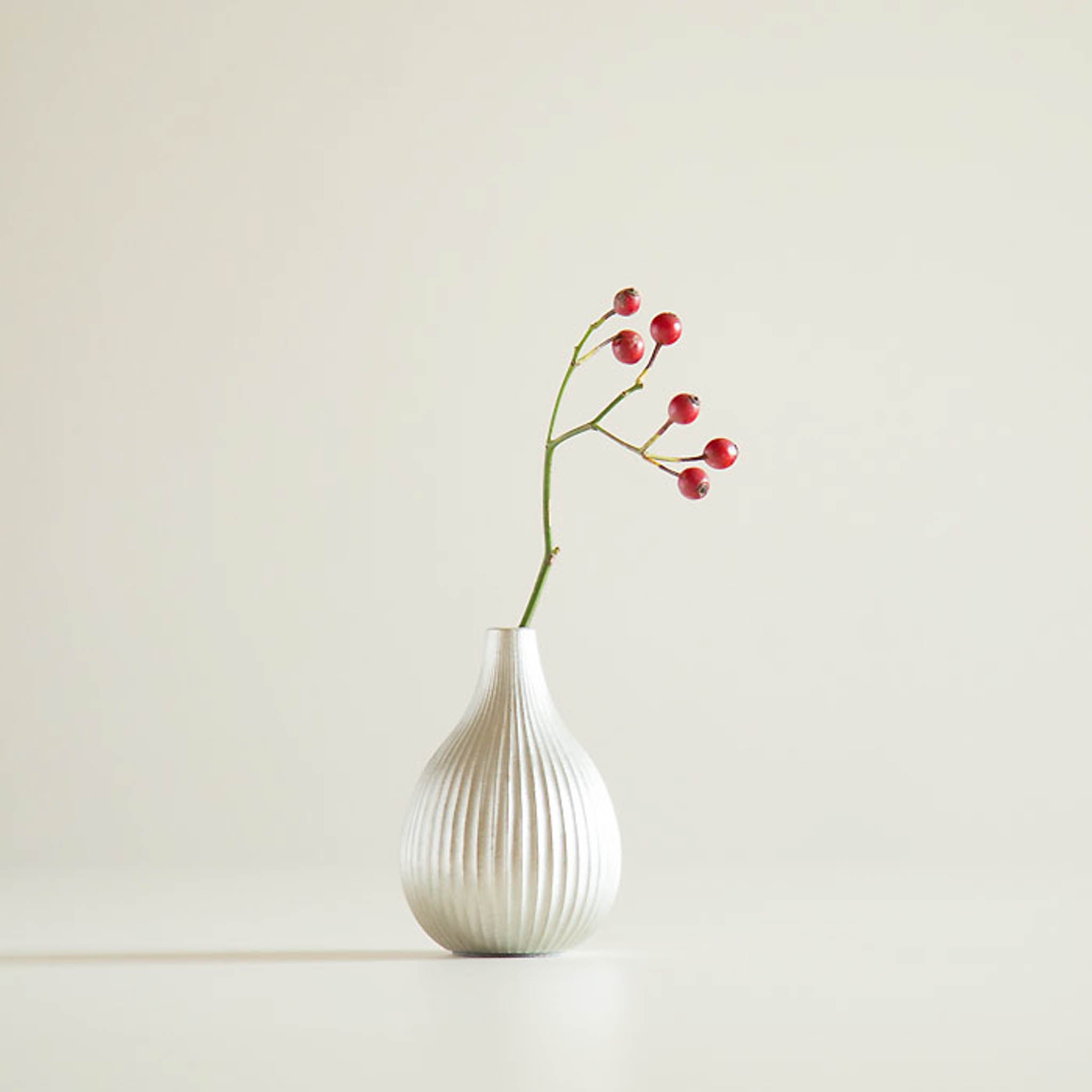 錫器 花器 | フラワーベース - suzu- | いちじく | 能作