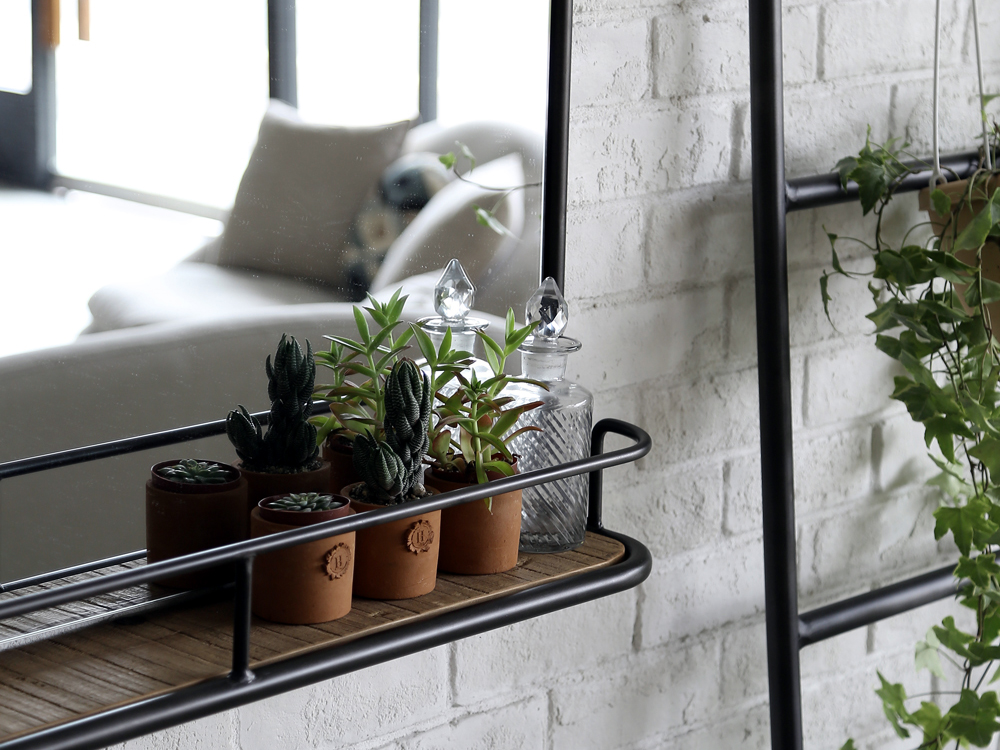 Jackal ジャッカル・ミラー