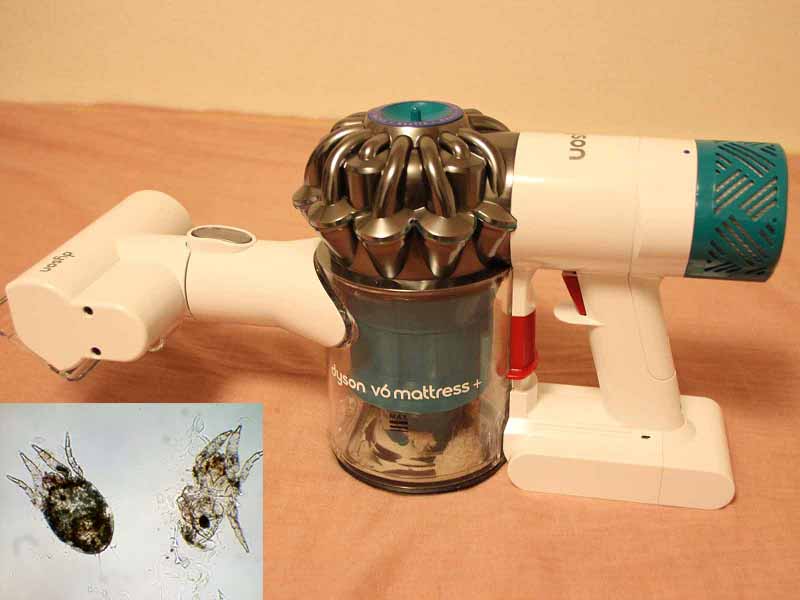 家電製品レビュー - ダイソンの布団クリーナーでベッドを掃除したら