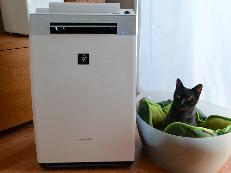 家電製品ミニレビュー】吸じん力が高く手入れも楽なシャープの加湿空気
