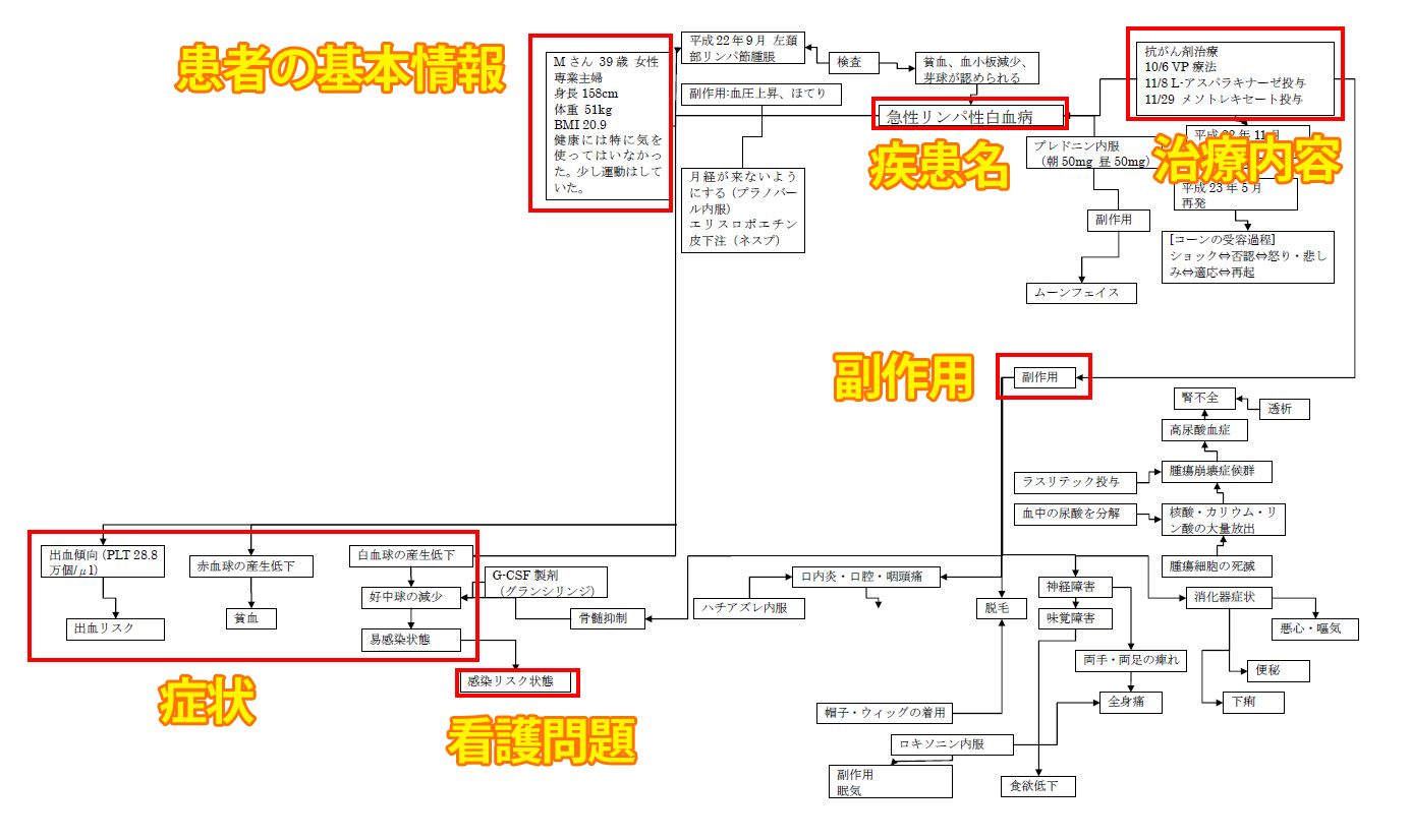全体関連図の書き方！実習対策 | 根拠がわかる看護義塾