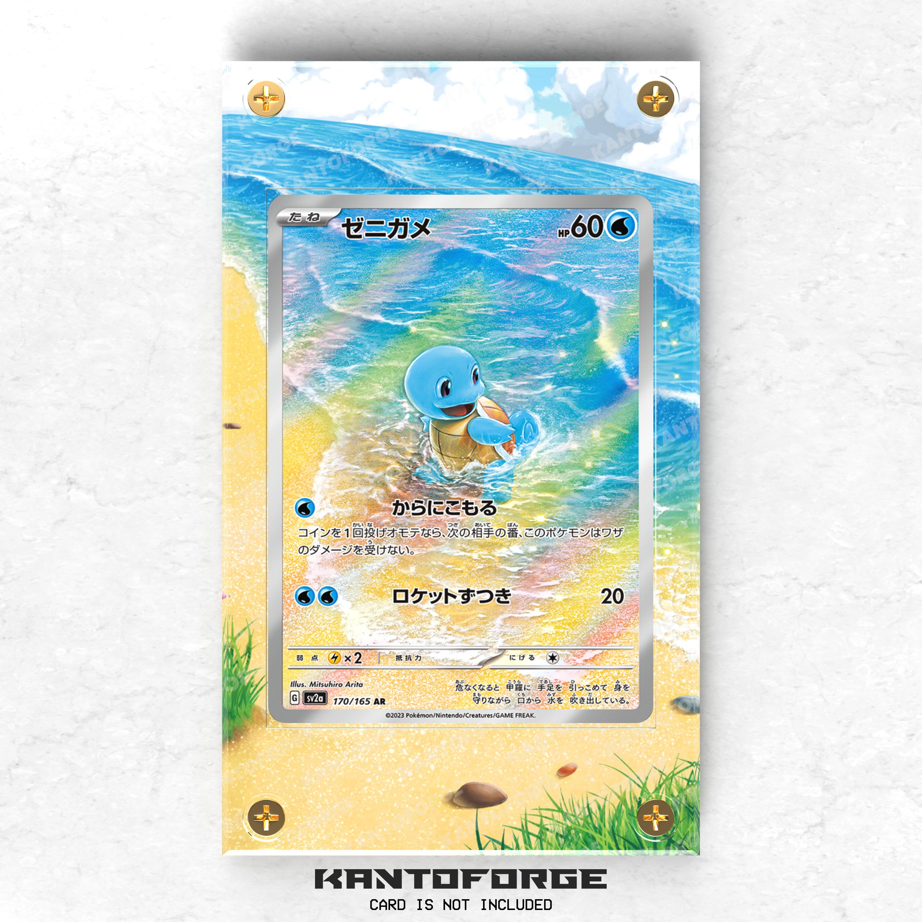 Squirtle (ゼニガメ) 170/165 - Pokémon Extended Artwork Display