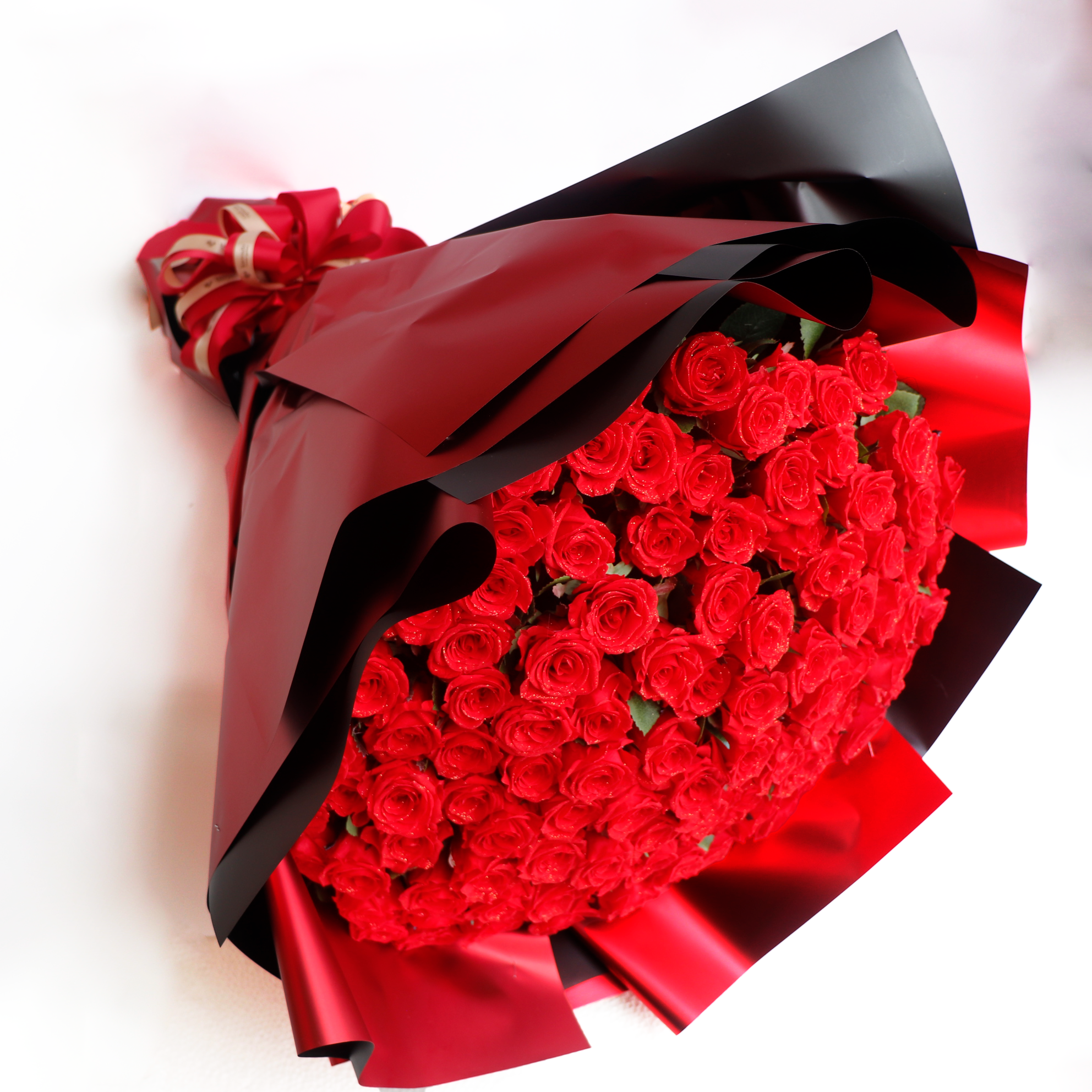 MG_2610s.png?v=1719216826