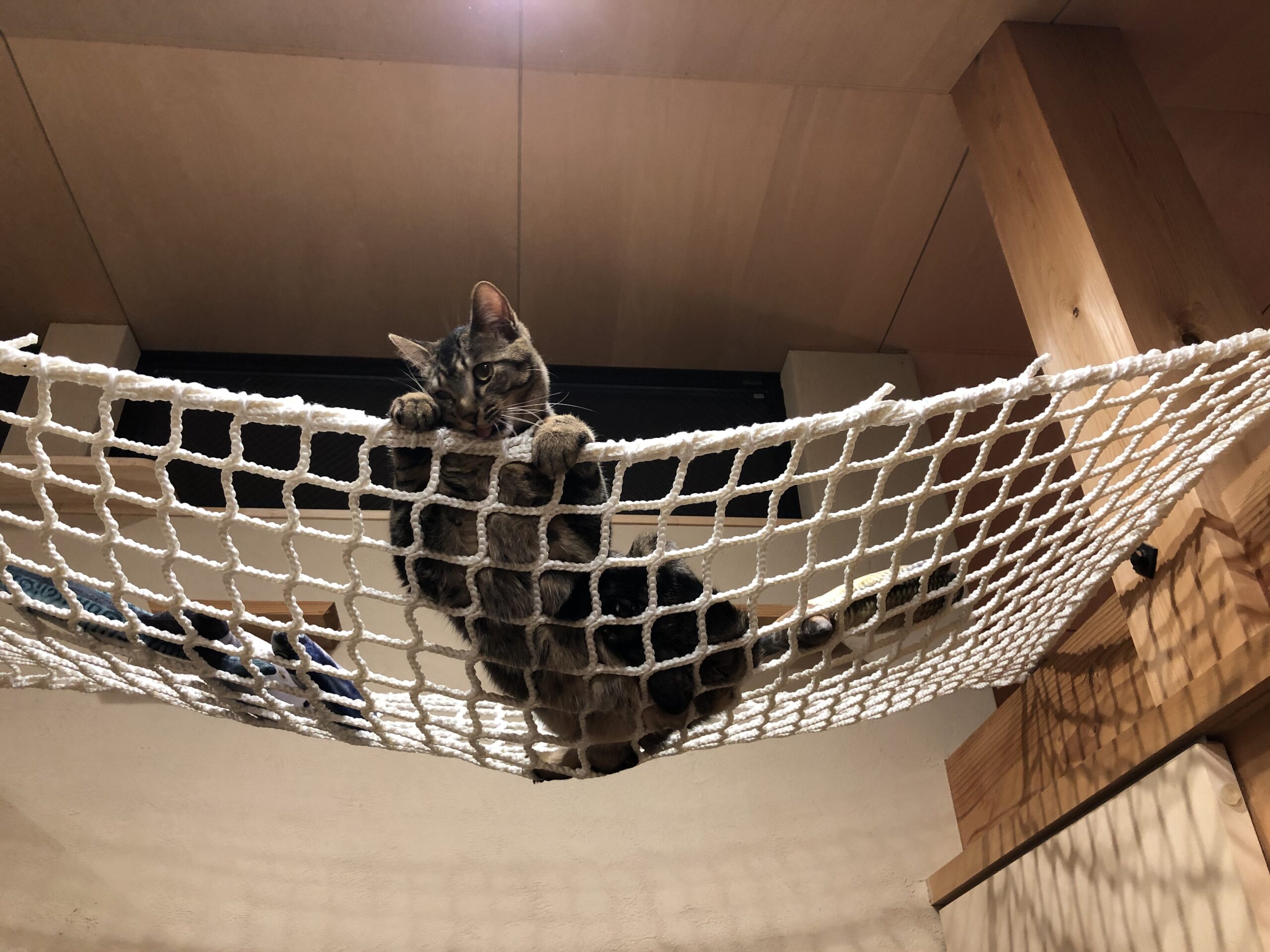 猫モック® | クラーク株式会社