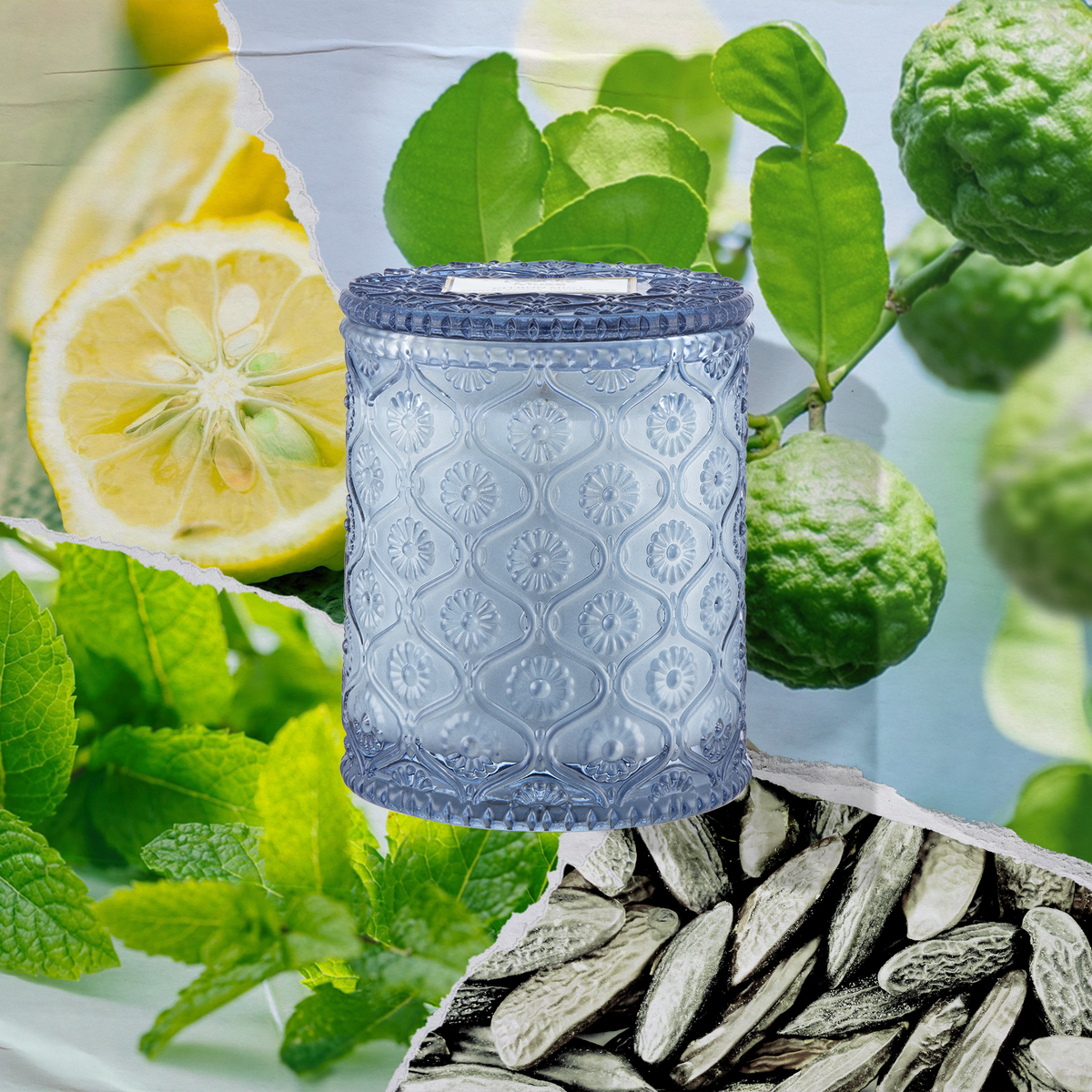 Maelyn - Citrus Mint 6oz Candle – LA JOLIE MUSE