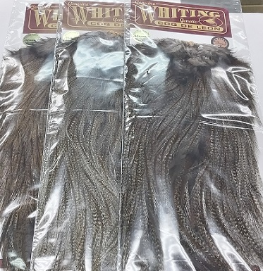 WHITING、コックデレオンのサドル、DKパルド入荷。 - 道具屋日記