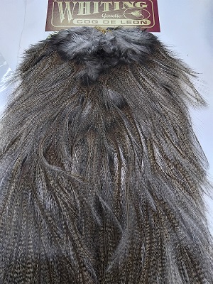 WHITING、コックデレオンのサドル、DKパルド入荷。 - 道具屋日記