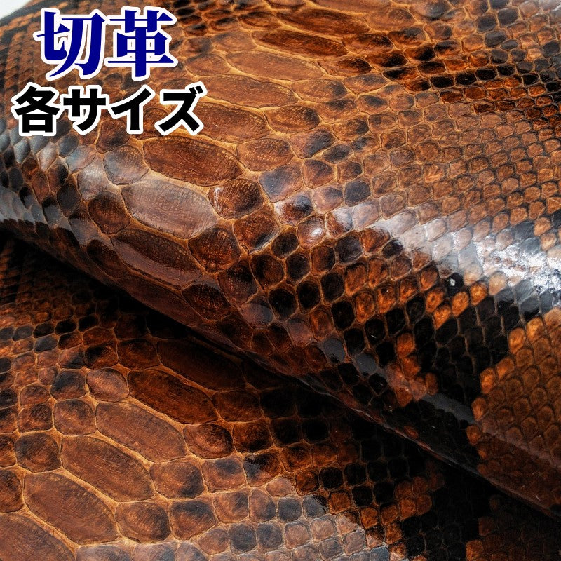 ヘビ革/茶色（カラフル・brown・チョコ）の革素材を販売 – レザー