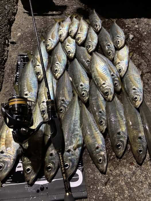 魅極で釣り納め - LEGAME