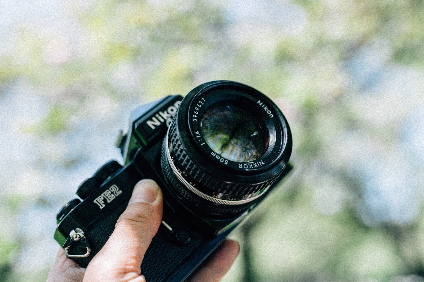 ニコンのフィルムカメラFE2を買いました！仕様や撮った写真を載せてみ