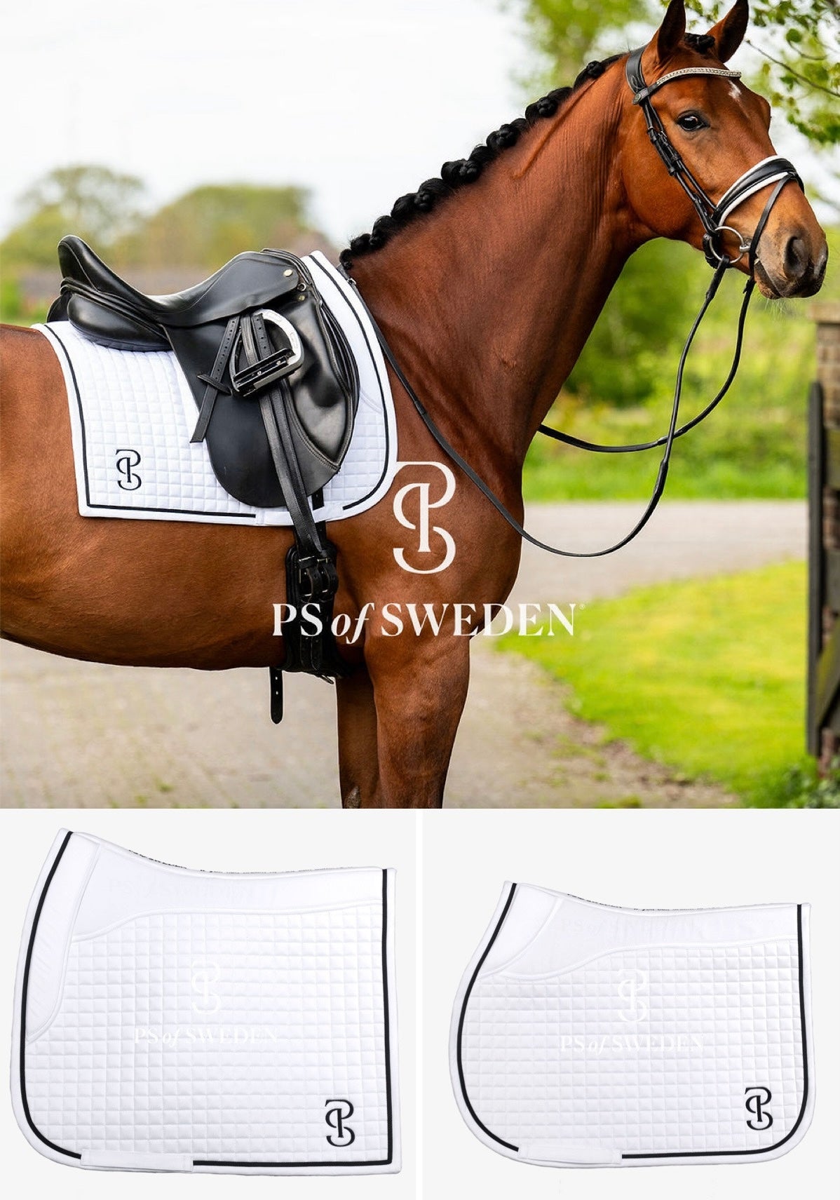 滑り止め付き乗馬用ゼッケン 障害/馬場 アナトミカル構造 Ps of Sweden