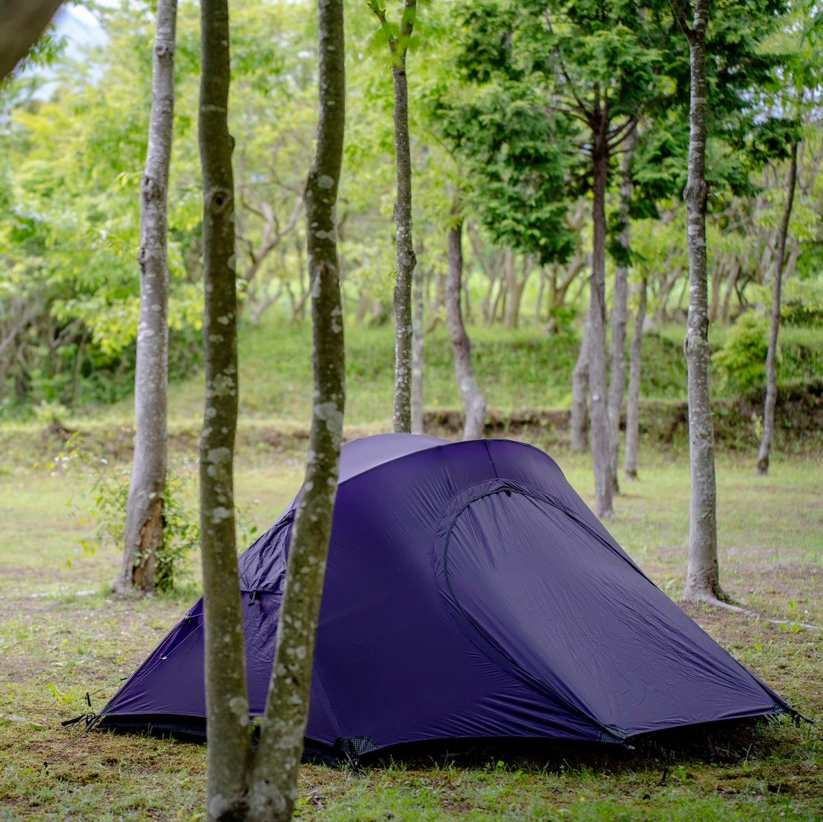 Lightrock 2p / Purple – LOG