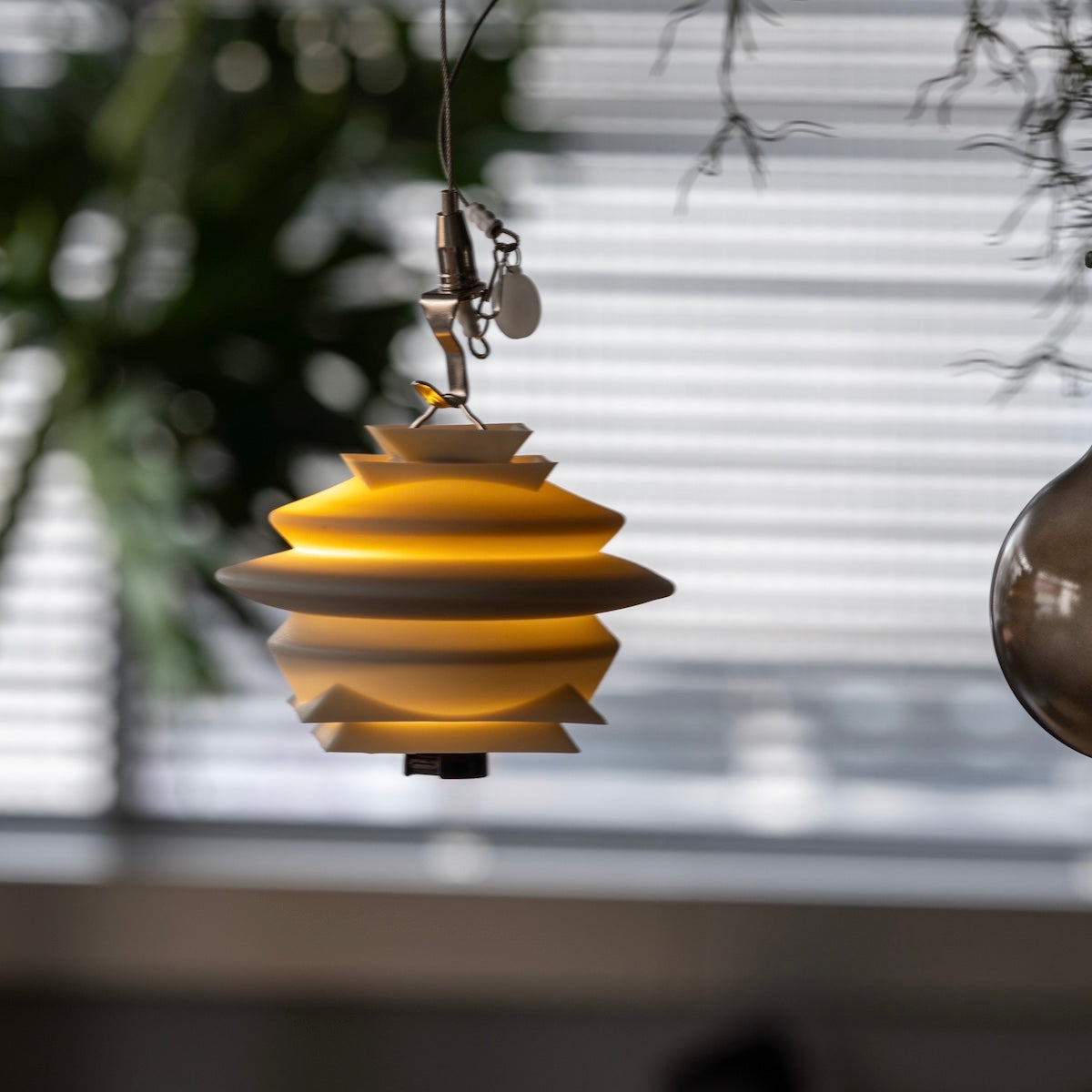 抽選販売】T no T x TARPtoTARP ⁡ 