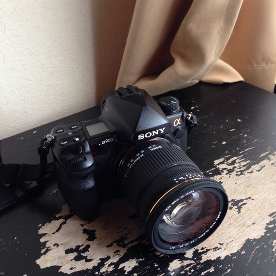 これぞ標準ズーム！SIGMA 24-60mm F2.8 EX DG : ～猫の鼻～ suzukineko