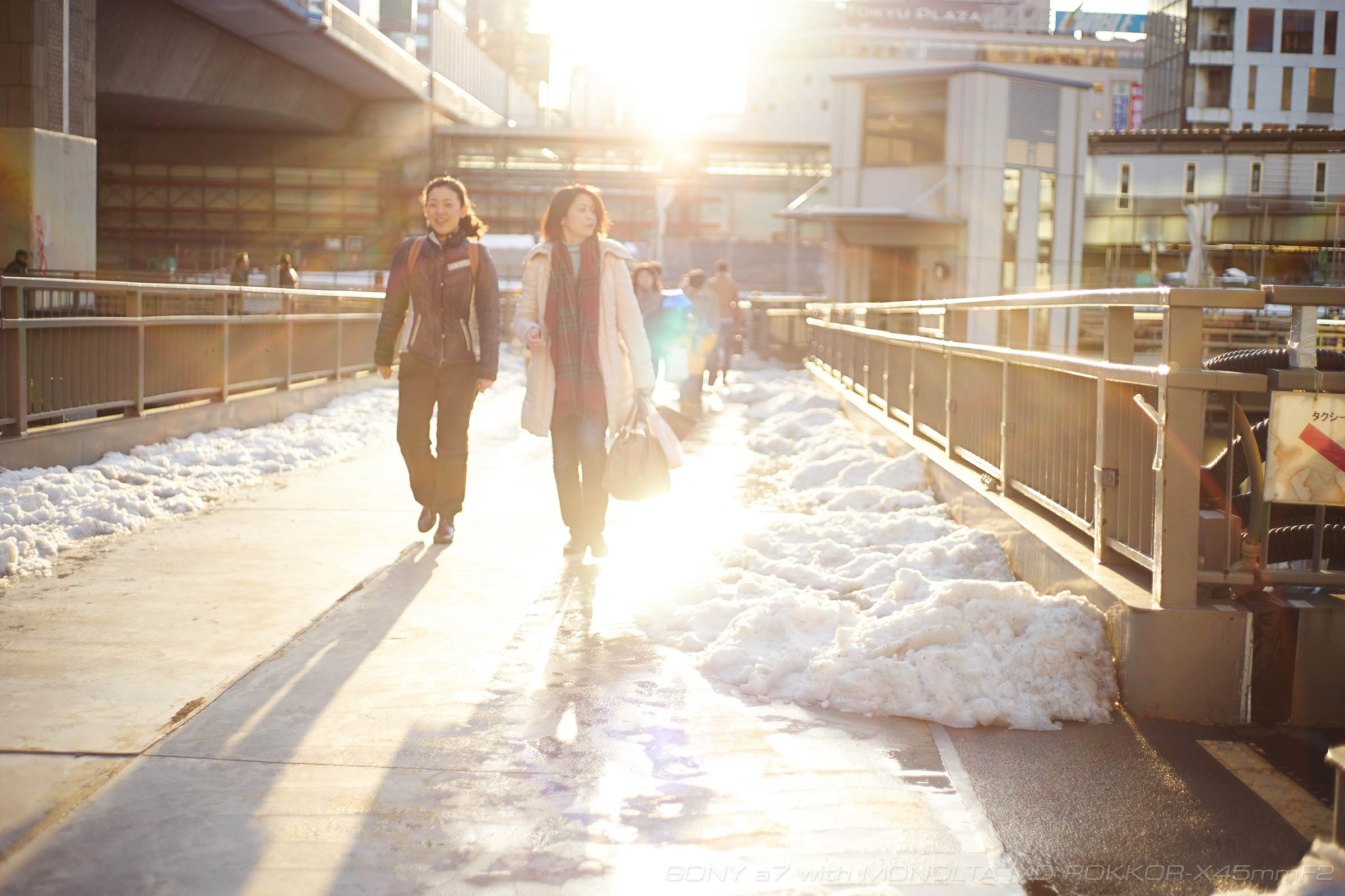 ミノルタ MD ロッコール45mmF2」をα7で試す。【作例写真てんこもり