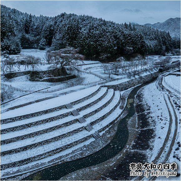 奈良大和の四季 2024年2月新作