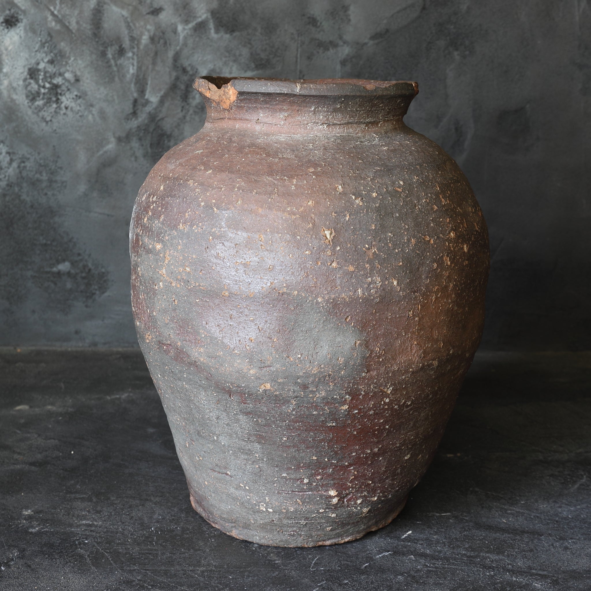 室町時代 古信楽 壺（1336–1573 CE） | 入蘆花（ロカニイル）