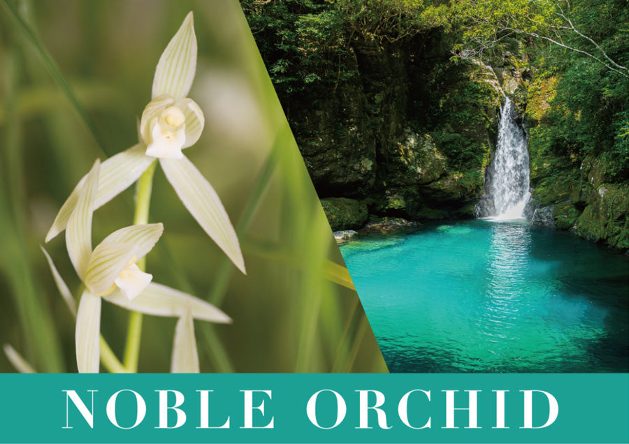 ノーブル オーキッド オードパルファン – R fragrance ONLINE SHOP