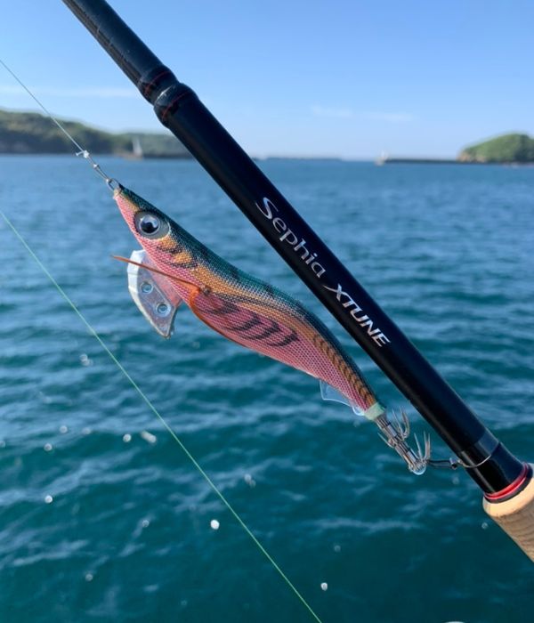 最強】軍艦グリーンが選ばれる理由とは？エギ王Kの性能とおすすめの