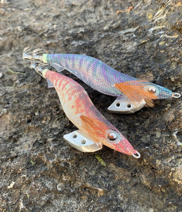 エギ王K10周年記念モデル】数量限定カラーの特徴と評判を徹底解説 |