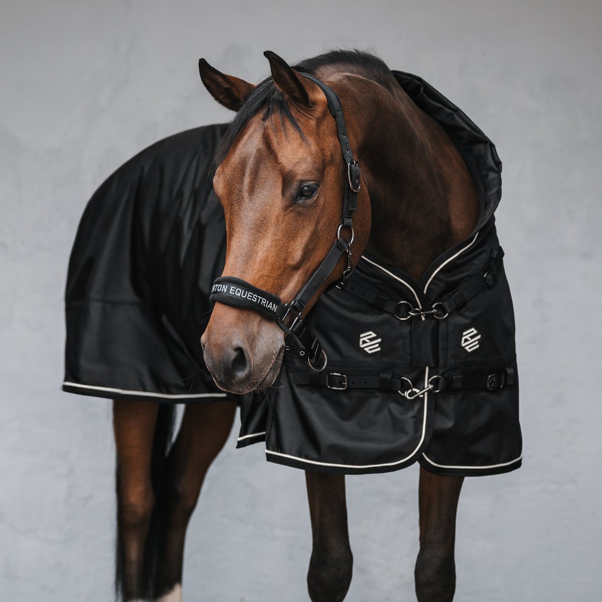 Axel 3-in-1 Horse Blanket 300g – Riverton Equestrian