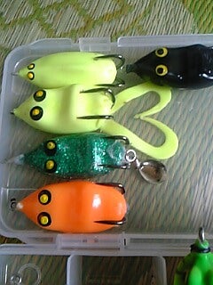 ルアー フロッグ | Beast Head Shake! ～クールで？時にシリアスな釣り