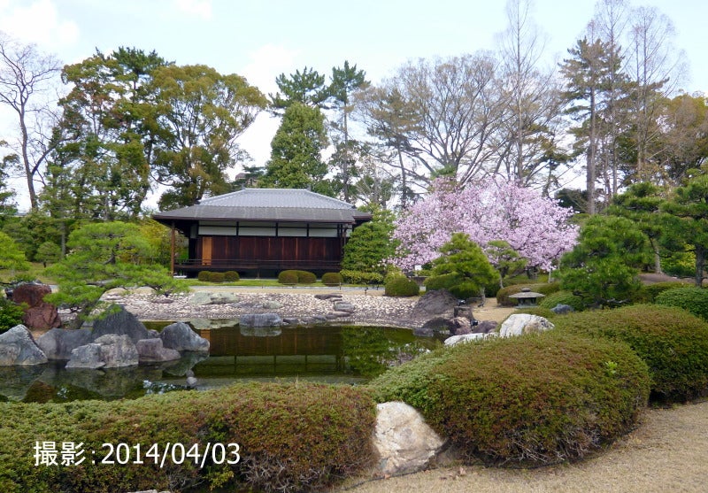 京の銘石の加茂七石が揃う庭 | 京都の春夏秋冬とプラスα