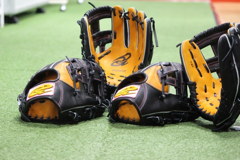 ドナイヤ 山田哲人選手契約記念モデル YS1 | 名手製造所 「豊橋の