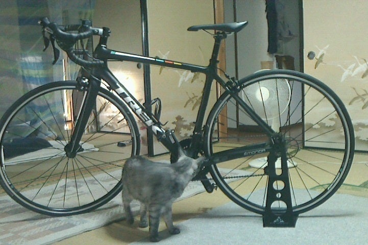 わが家にロードバイクがやってきた！！ trek emonda s5 2016