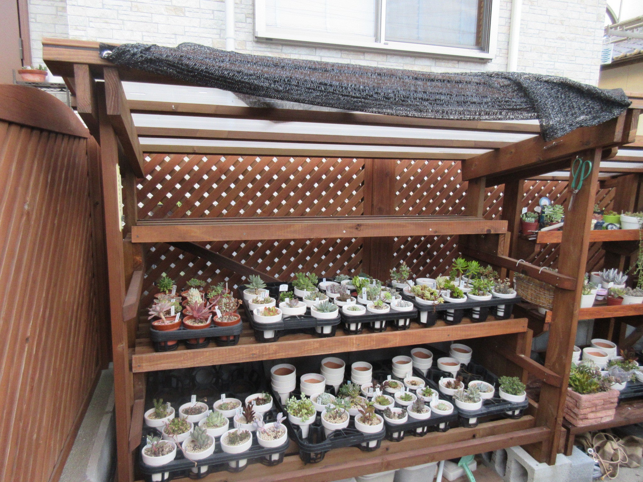 多肉棚やトレーのことについてのご質問の回答(^^) | 四十郎の多肉ブログ