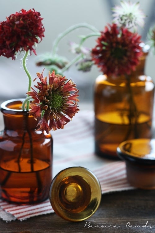 花瓶選びのコツ】初秋に使える！琥珀色のガラス花瓶♪～アンバー飴色の